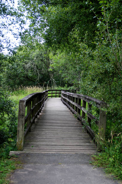 istock Timber Walkway Over a Small Country River 1005549658