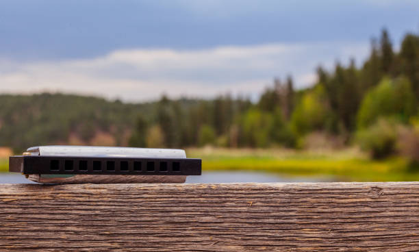 árboles y el agua al aire libre armónica - blues harp fotografías e imágenes de stock