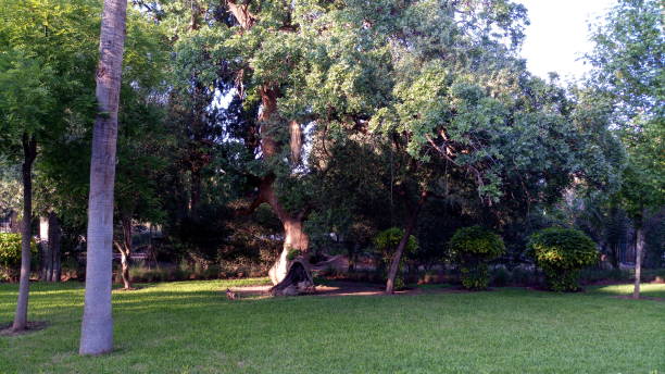 istock Park lalla aicha in Oujda 1005552432
