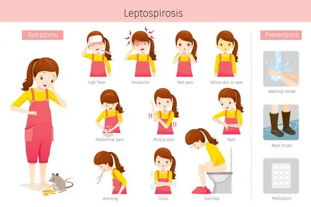 Vector illustration of Girl With Leptospirosis Symptoms And Preventions Set