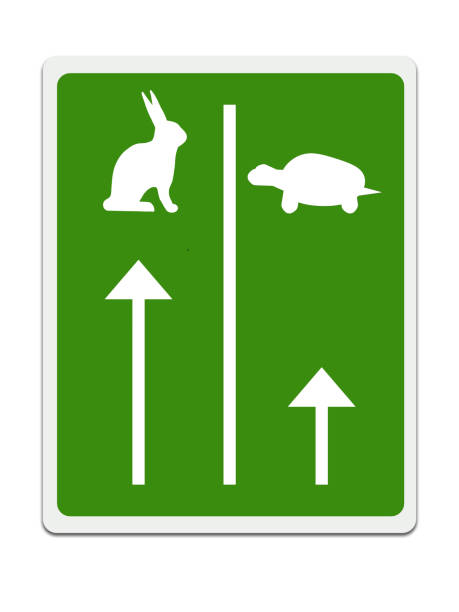 istock Fast and slow lanes for tortroise aka turtle and hare, Business success concept. White background. 1005560946