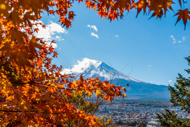 istock Autumn tree and Mount Fuji in Japan. 1005592756