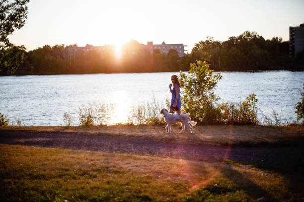 istock Woman taking a walk with her dog at sunset 1005596506