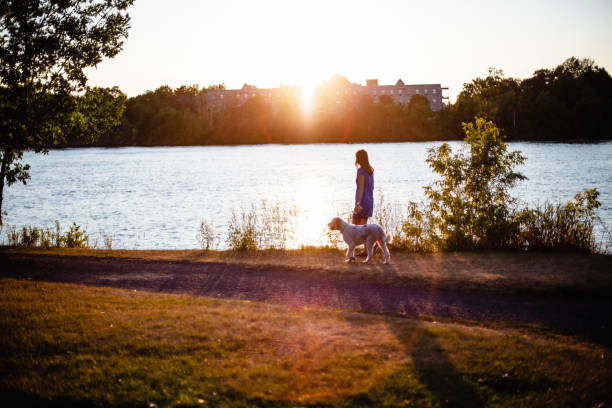 Woman taking a walk with her dog at sunset