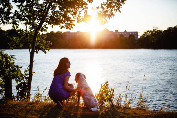 istock Woman taking a walk with her dog at sunset 1005596704