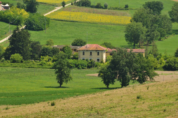 istock Monferrato, hills and quiet places 1005600314