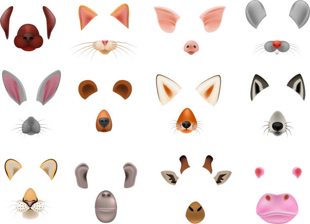 Animal mask vector animalistic masking face of wild characters bear wolf rabbit and cat or dog on masquerade illustration set of carnival masked costume monkey masquer isolated on white background Animal mask vector animalistic masking face of wild characters bear wolf rabbit and cat or dog on masquerade illustration set of carnival masked costume monkey masquer isolated on white background. bunny ear stock illustrations