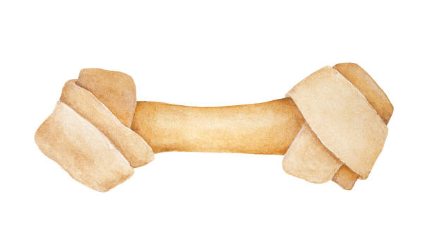 illustrazioni stock, clip art, cartoni animati e icone di tendenza di illustrazione di osso di pelle grezzo annodato per cane per masticare e pulire i denti. - gift isolated brown white background