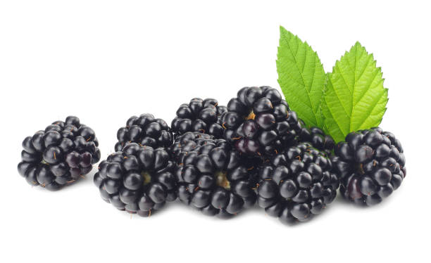 istock blackberries with green leaf isolated on white background. macro 1005618738