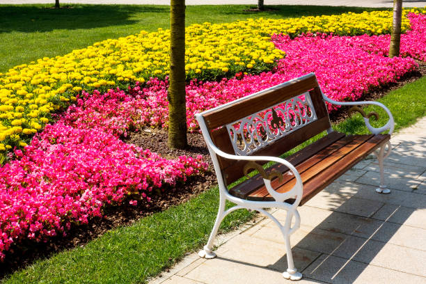 istock Flowerbed and bench in public park 1005625064