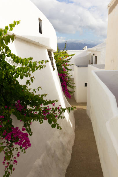 istock Narrow alley between white walls on apartment complex 1005625296