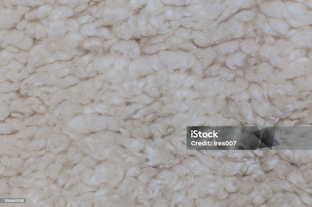Sheep Texture Guide Sheep Wool Texture Stock Photo - Download Image Now - Abstract, Animal ...