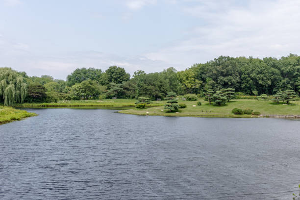 istock Grassy islands around a lake 1005633500