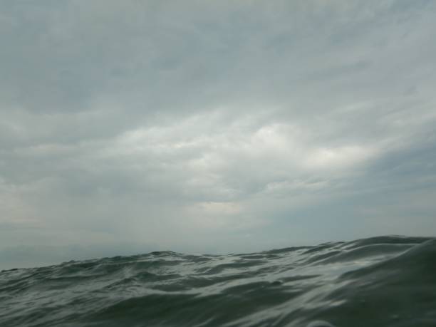 istock Rough sea and cloudy sky on the beach 1005636508