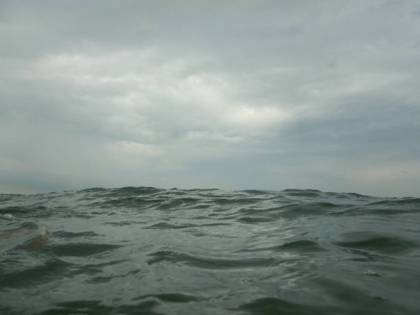 istock Rough sea and cloudy sky on the beach 1005636510