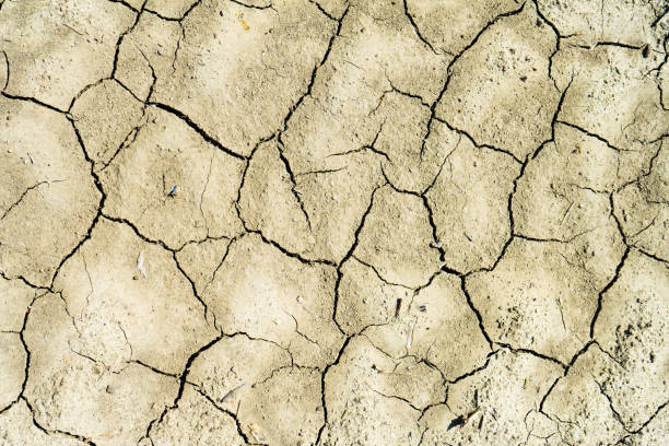 istock The soil cracked from the drought and the scorching sun. 1005641526