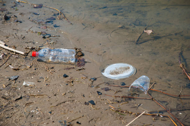 istock Garbage waste on the shore of a river 1005643970