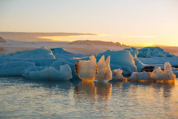 istock Icebergs floating in Jokulsarlon glacier lake at sunset 1005644052
