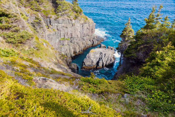 istock East shore of Newfoundland 1005644088