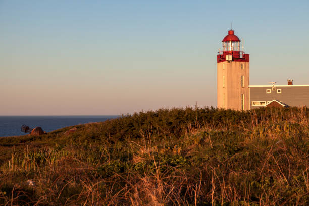 istock Tete de Galantry Lighthouse in Saint Pierre 1005644138