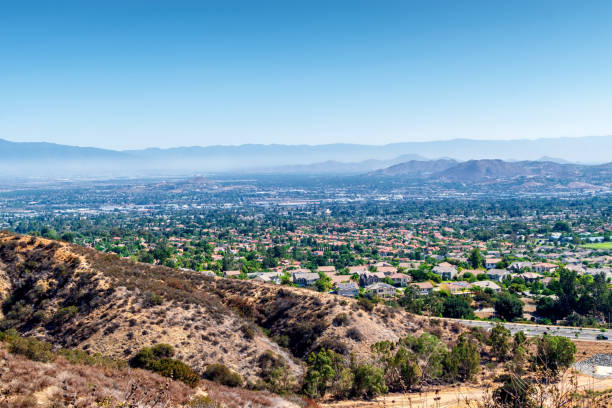 istock Southern California suburbs in summer 1005649888