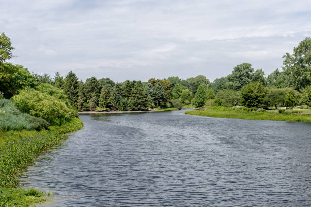 istock Beautiful green tree and grass behind relaxed water 1005656472