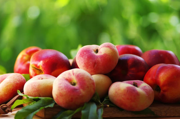 istock ripe peaches and leaves on table 1005678802