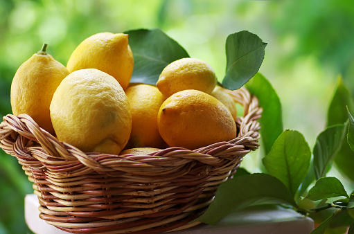 Lemons in basket isolated on green background