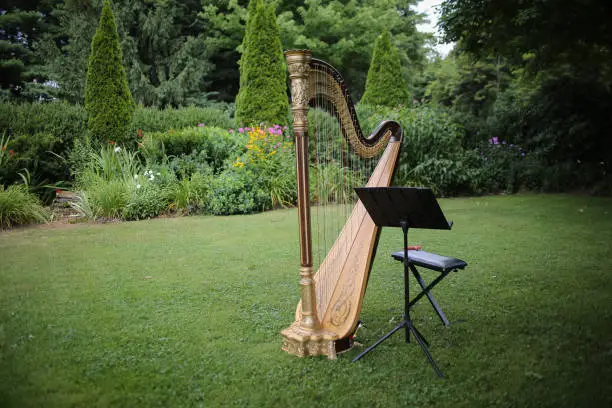 Harp Classical Musical Instrument Outdoors in Summer for a Wedding Event Celebration