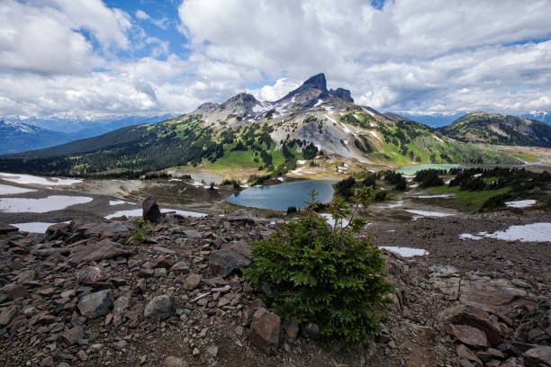 istock Black Tusk in summer, BC, Canada 1005698196