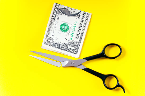 istock scissors broke trying to cut dollar 1005698274