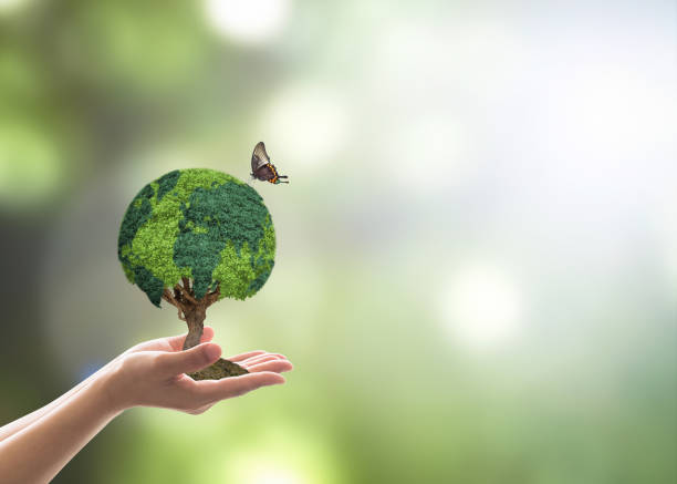 istock Green globe tree on volunteer's hand for sustainable environment and natural conservation  in CSR concept 1005715372