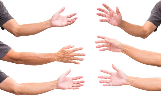 istock Set of man hands isolated on white background 1005726152