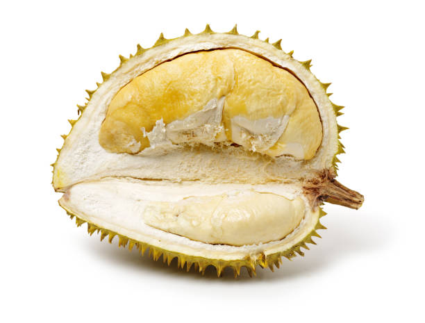 istock Durian is tropical fruit from Indonesia Thailand Malay 1005735808