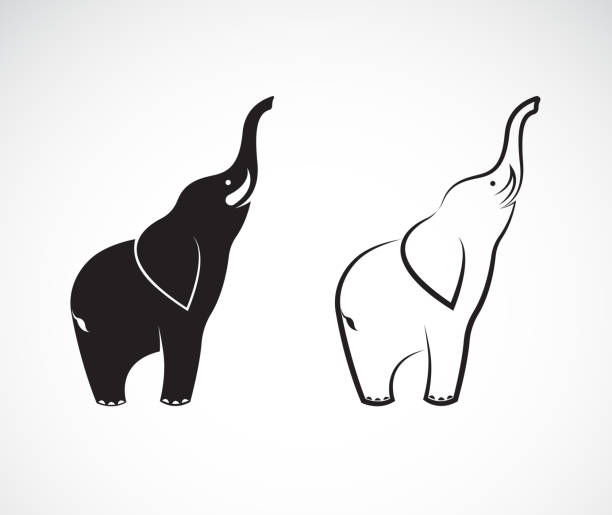 Vector of elephant design on a white background, Wild Animals, Vector elephant for your design. Vector of elephant design on a white background, Wild Animals, Vector elephant for your design. elephant art stock illustrations