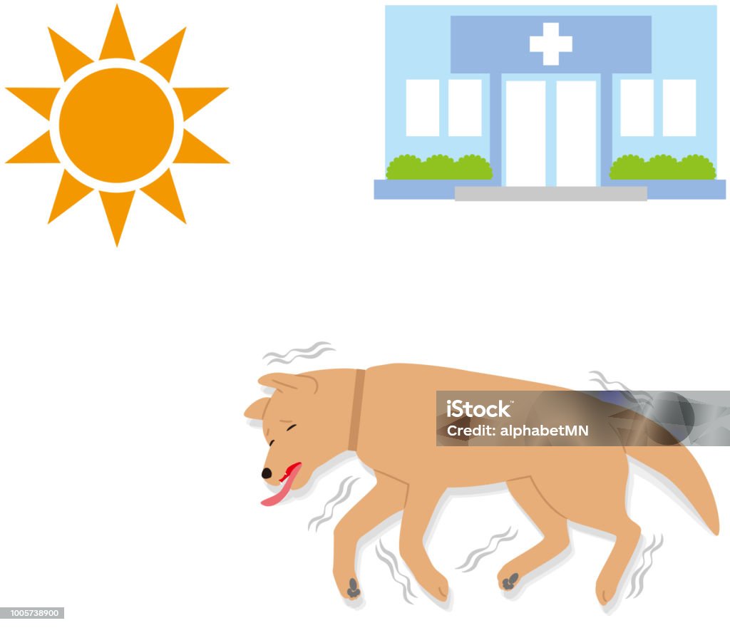 Symptomen På Värmeslag Hund Kramper-vektorgrafik och fler bilder på Hund - Hund, Medvetslös, Medicinskt tillstånd - iStock