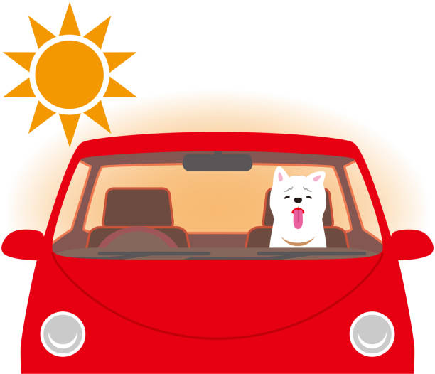 ilustraciones, imágenes clip art, dibujos animados e iconos de stock de riesgo de golpe de calor. perro confinado dentro del coche. - coches abandonados