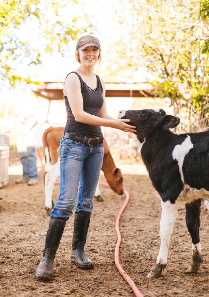 istock Girl with calf in a dairy farm 1005760820