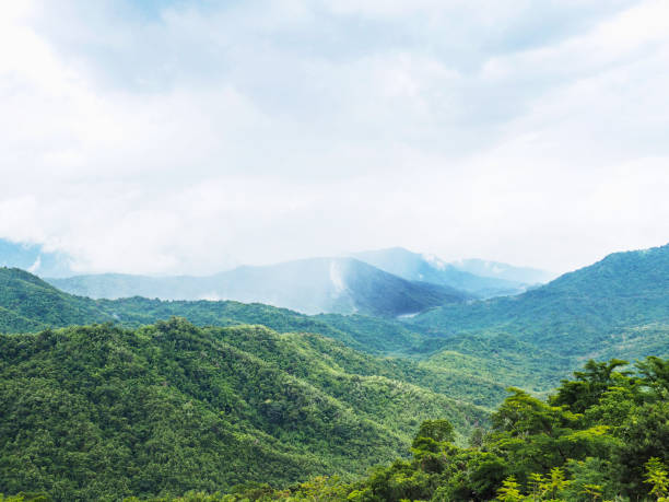 istock Landscape of green forest mountains 1005794004