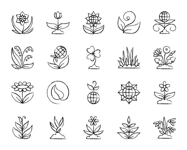 illustrations, cliparts, dessins animés et icônes de icônes de ligne tirage au charbon jardin vector ensemble - chamomile plant