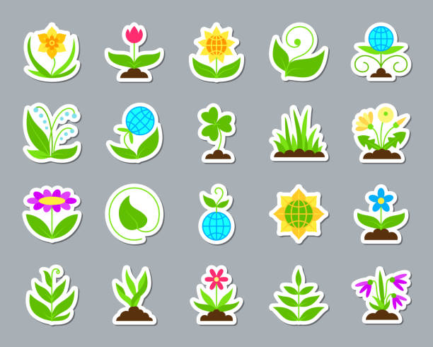 illustrations, cliparts, dessins animés et icônes de icônes de jardin patch autocollant vector ensemble - chamomile chamomile plant flower herb