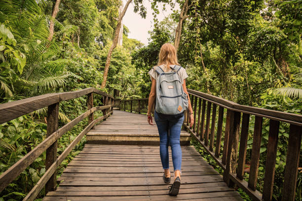 istock Attractive beautiful woman walking through the jungle. 1005811884