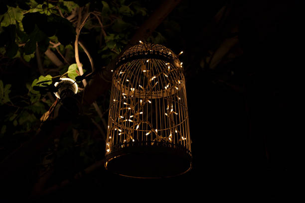 istock Decorative cage with garland lights in a bright night 1005811930