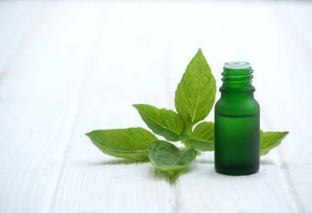 istock Natural Basil leaf, Mint Essential Oil in a green Bottle with Fresh basil Leaves (selective focus) 1005812414
