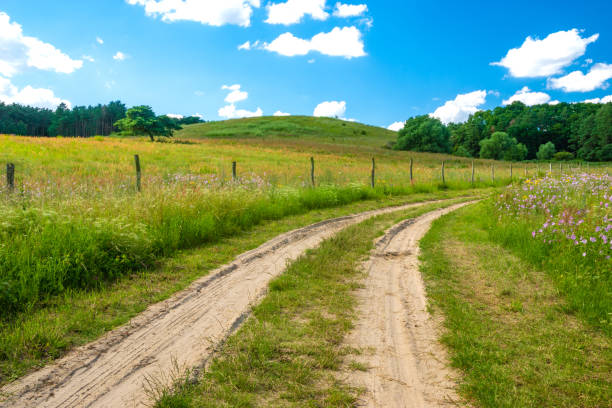 istock road through flowering meadow and green hills 1005822018