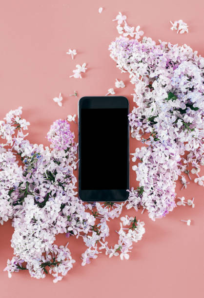 Lilac flowers with smart phone Flat lay top view
