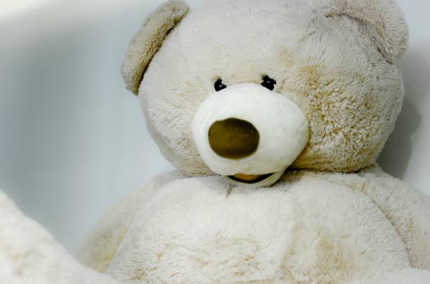 cute white teddy bears