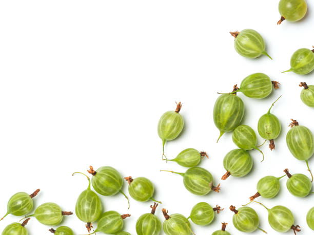 gooseberry isolated, copy space Heap of ripe green gooseberry berries on white background. Creative layout made of organic gooseberries. Isolated on white with clipping path. Top view or flat lay. Copy space for text. Food concept. gooseberry stock pictures, royalty-free photos & images