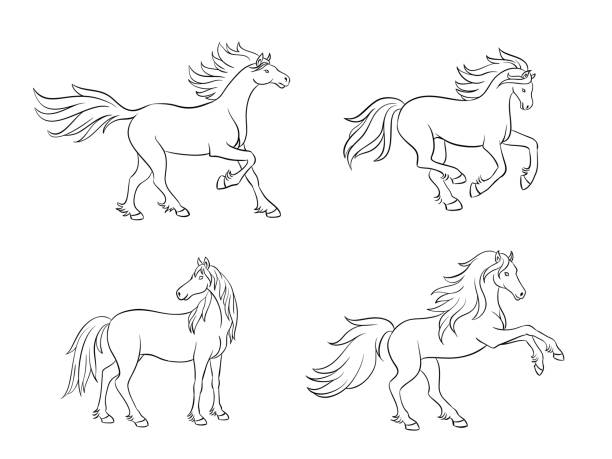 Horses in contours - vector illustration vector art illustration