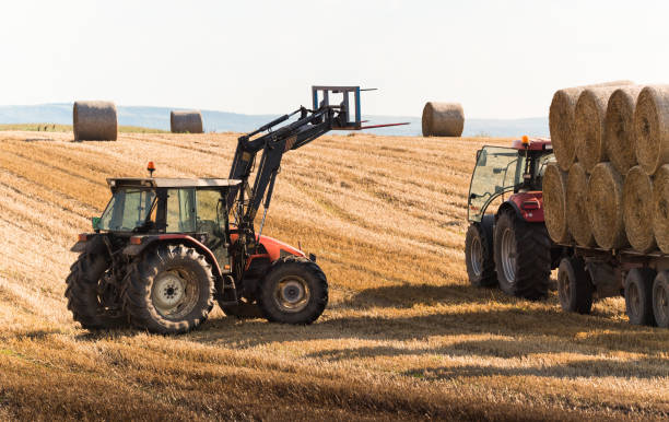 istock A tractor collecting straw bales in a harvested field 1005845868